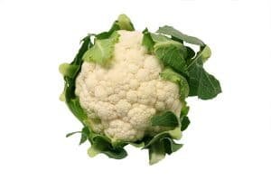 cavolo ortaggio