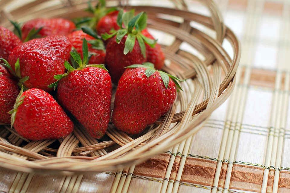 fragola